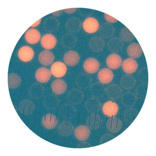 Thermo Scientific Flow Cytometry Multiplex Assay Particles