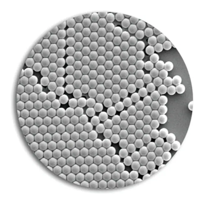 Thermo Scientific Polymer Particles